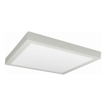 LED Mennyezeti lámpa FENIX LED/32W/230V 3800K 40 cm fehér