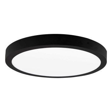 LED Mennyezeti lámpa FENIX LED/32W/230V 3800K