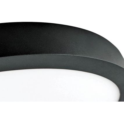 LED Mennyezeti lámpa FENIX LED/32W/230V 3800K