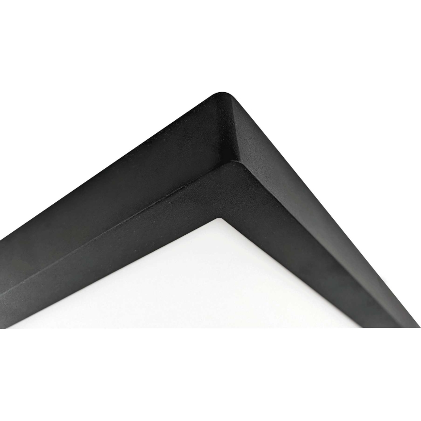 LED Mennyezeti lámpa FENIX LED/32W/230V 3800K