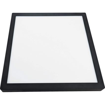 LED Mennyezeti lámpa FENIX LED/32W/230V 3800K