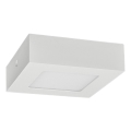 LED Mennyezeti lámpa FENIX LED/6W/230V 2800K 12 cm