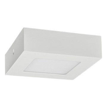 LED Mennyezeti lámpa FENIX LED/6W/230V 2800K 12 cm