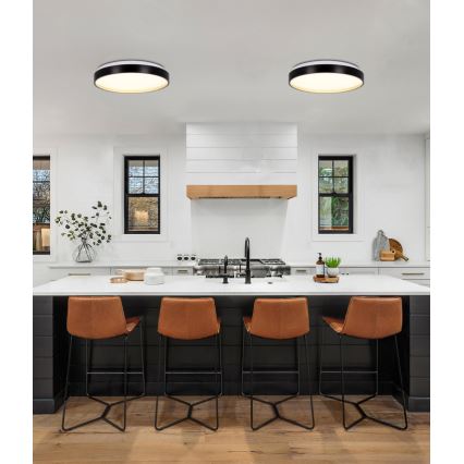 LED Mennyezeti lámpa FLORIDA LED/18W/230V fekete