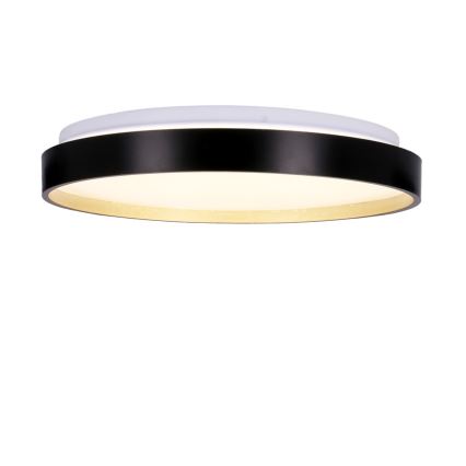 LED Mennyezeti lámpa FLORIDA LED/18W/230V fekete