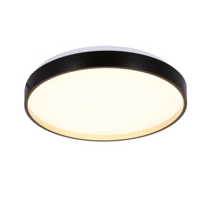 LED Mennyezeti lámpa FLORIDA LED/18W/230V fekete
