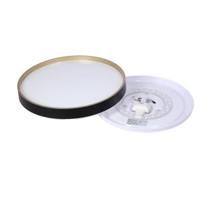 LED Mennyezeti lámpa FLORIDA LED/18W/230V fekete