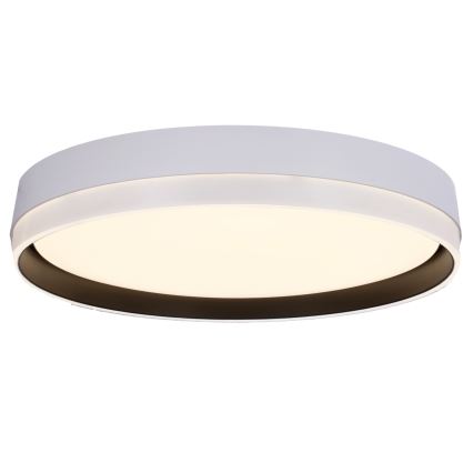 LED Mennyezeti lámpa FLORIDA LED/24W/230V fehér