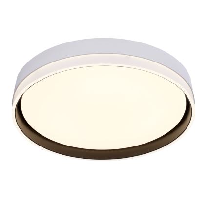 LED Mennyezeti lámpa FLORIDA LED/24W/230V fehér