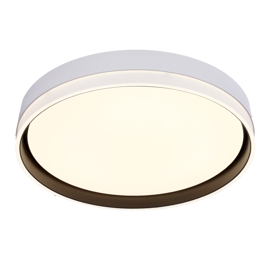 LED Mennyezeti lámpa FLORIDA LED/24W/230V fehér