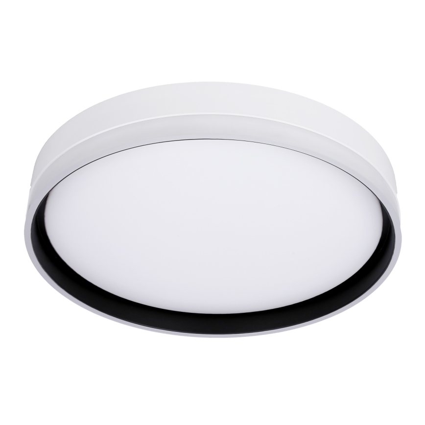 LED Mennyezeti lámpa FLORIDA LED/24W/230V fehér