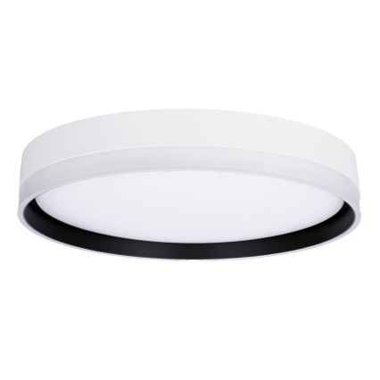 LED Mennyezeti lámpa FLORIDA LED/24W/230V fehér