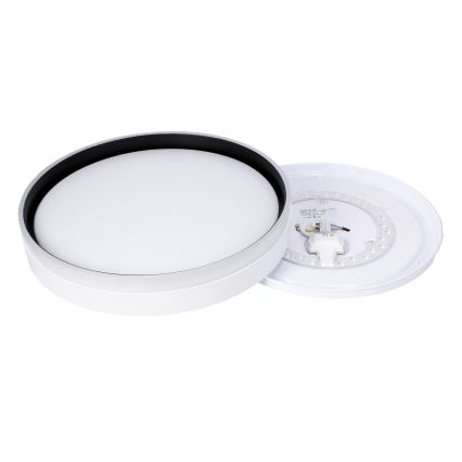 LED Mennyezeti lámpa FLORIDA LED/24W/230V fehér