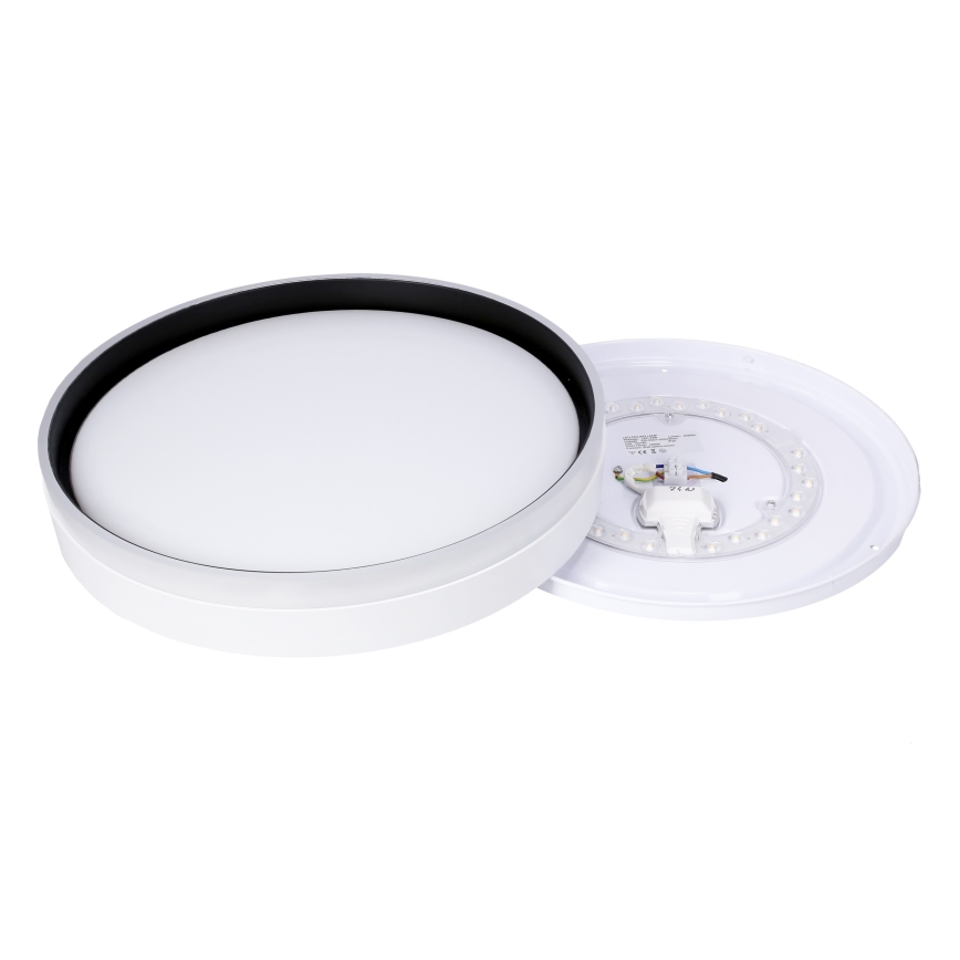 LED Mennyezeti lámpa FLORIDA LED/24W/230V fehér