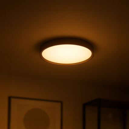 LED mennyezeti lámpa FOREST LED/24W/230V Ø 39 cm barna
