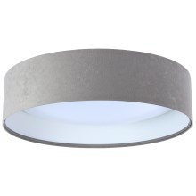 LED Mennyezeti lámpa GALAXY 1xLED/24W/230V szürke/fehér
