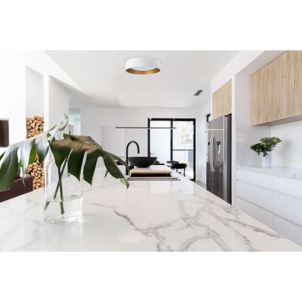 LED mennyezeti lámpatest GALAXY LED/24W/230V átmérő 44 cm fehér/arany