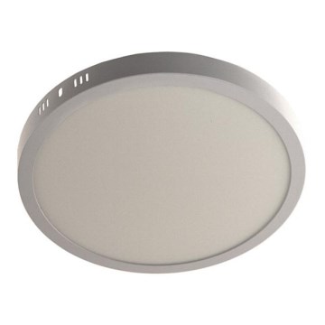 LED Mennyezeti lámpa GERRIT LED/24W/230V 4000K fehér