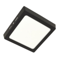 LED Mennyezeti lámpa GERRY LED/12W/230V 4000K fekete