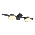 LED Mennyezeti lámpa JOY 2xGX53/6W/230V fekete