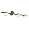 LED Mennyezeti lámpa JOY 3xGX53/6W/230V fekete