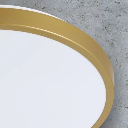 LED Mennyezeti lámpa KERN LED/15W/230V á. 29 cm