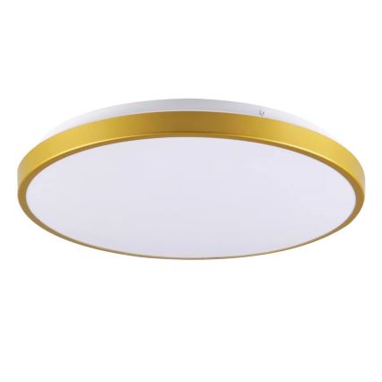 LED Mennyezeti lámpa KERN LED/15W/230V á. 29 cm