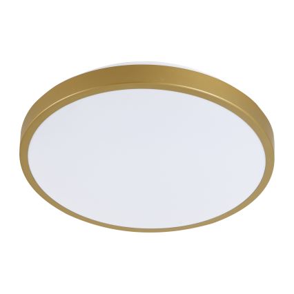 LED Mennyezeti lámpa KERN LED/24W/230V á. 39 cm