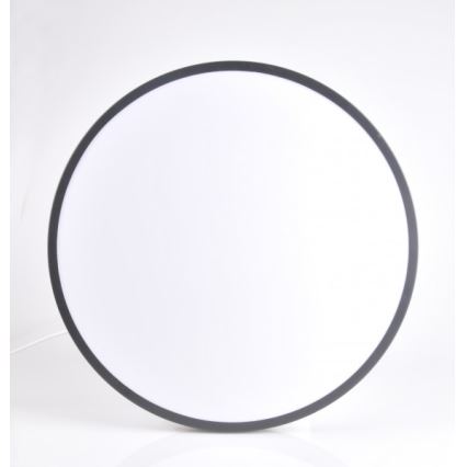 LED Mennyezeti lámpa KERN LED/24W/230V fekete