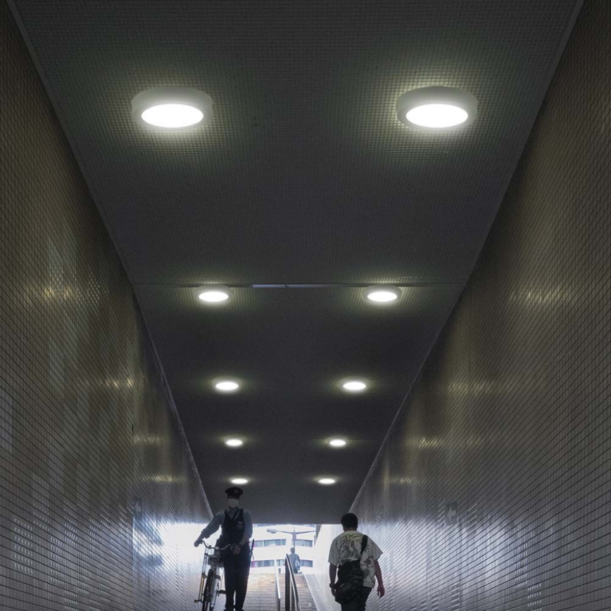 LED Mennyezeti lámpa LED/12W/230V 3000K átm. 16,7 cm fehér