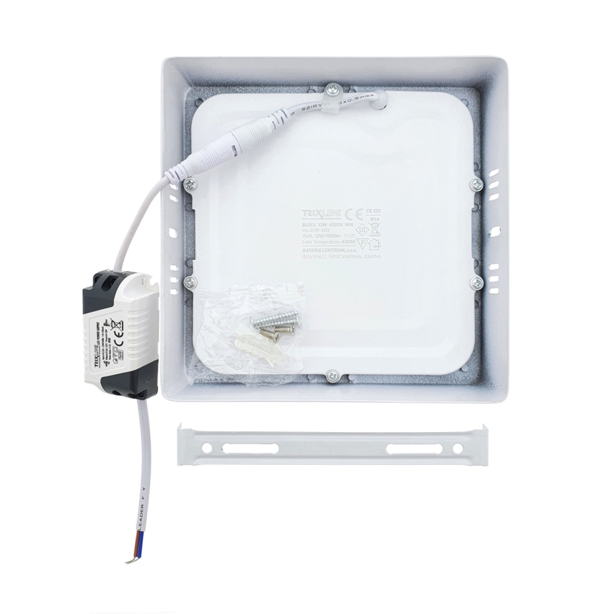 LED Menyezeti lámpa LED/12W/230V 4200K