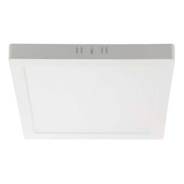 LED Mennyezeti lámpa LED/12W/230V 6500K 16,7x16,7 cm fehér