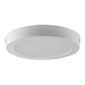 LED Mennyezeti lámpa LED/12W/230V 6500K átm. 16,7 cm fehér