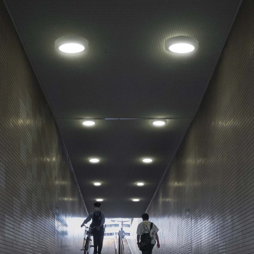 LED Mennyezeti lámpa LED/12W/230V 6500K átm. 16,7 cm fehér