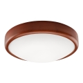 LED mennyezeti lámpa LED/12W/230V, fenyő