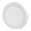LED Mennyezeti lámpa LED/12W/230V