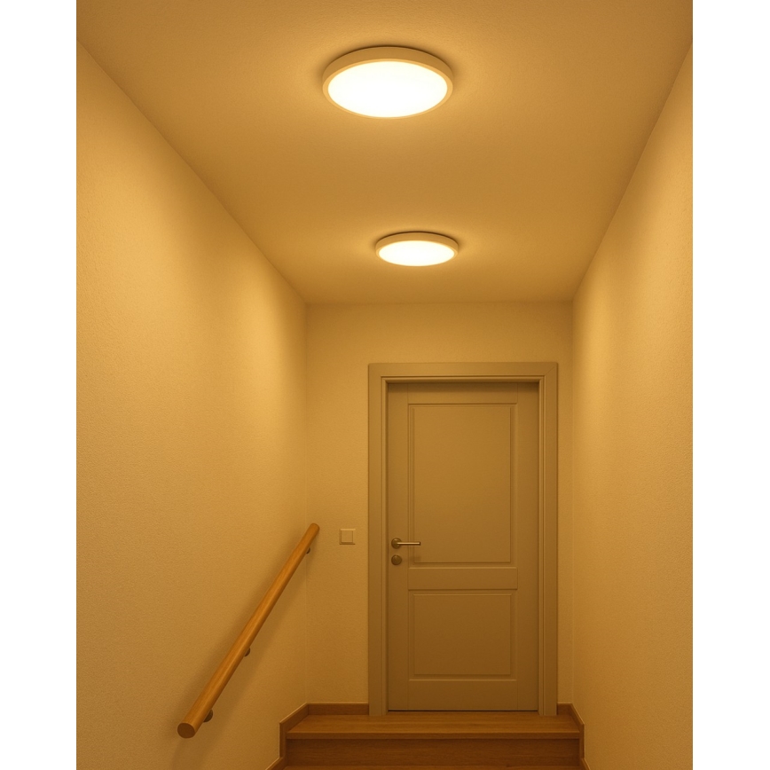 LED mennyezeti lámpa LED/18W/230V 3000/4000/6500K átm. 23 cm fehér