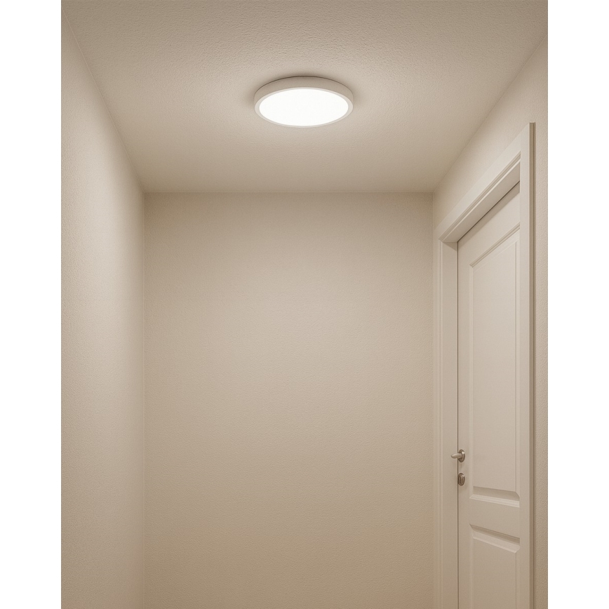 LED mennyezeti lámpa LED/18W/230V 3000/4000/6500K átm. 23 cm fehér