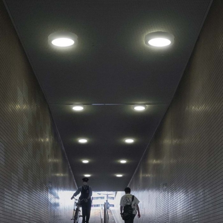 LED Mennyezeti lámpa LED/18W/230V 6500K átm. 21,6 cm