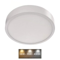 LED Mennyezeti lámpa LED/21W/230V á. 22,5 cm fehér