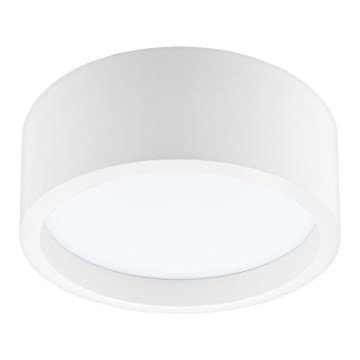 LED Mennyezeti lámpa LED/21W/230V fenyő