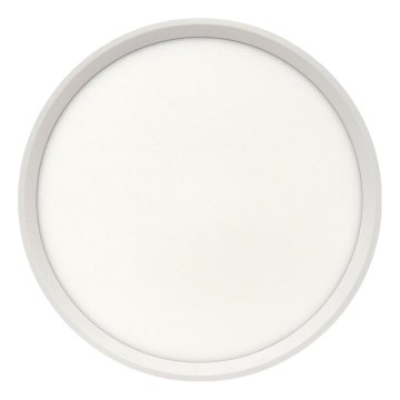 LED mennyezeti lámpa LED/24W/230V 3000/4000/6500K átm. 30 cm, fehér