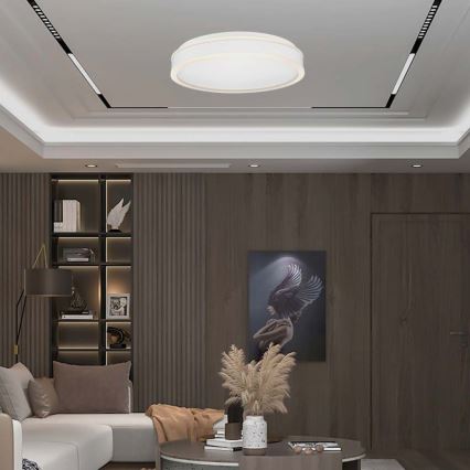 LED Mennyezeti lámpa LED/24W/230V 4000K átm. 45 cm fehér