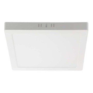 LED Mennyezeti lámpa LED/24W/230V 6500K 28,7x28,7 cm fehér