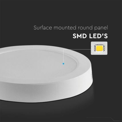 LED Mennyezeti lámpa LED/24W/230V 6500K átm. 28,8 cm