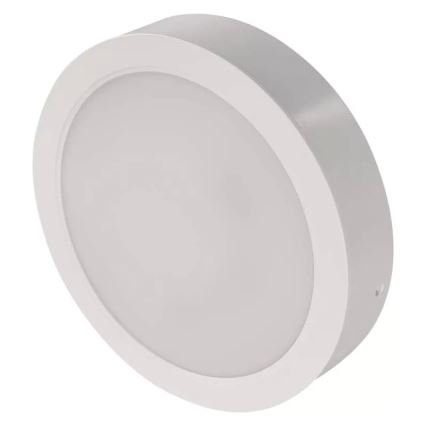LED Mennyezeti lámpa LED/24W/230V á. 22 cm fehér