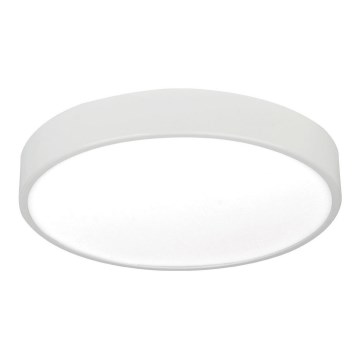 LED Mennyezeti lámpa LED/24W/230V
