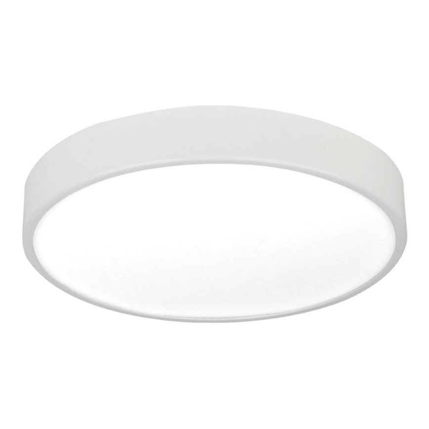 LED Mennyezeti lámpa LED/24W/230V