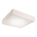 LED mennyezeti lámpa LED/24W/230V