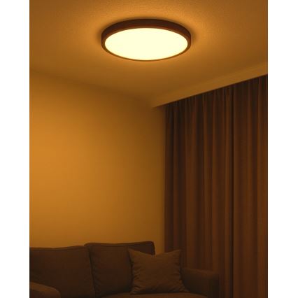 LED mennyezeti lámpa LED/40W/230V 3000/4000/6500K átm. 50 cm barna